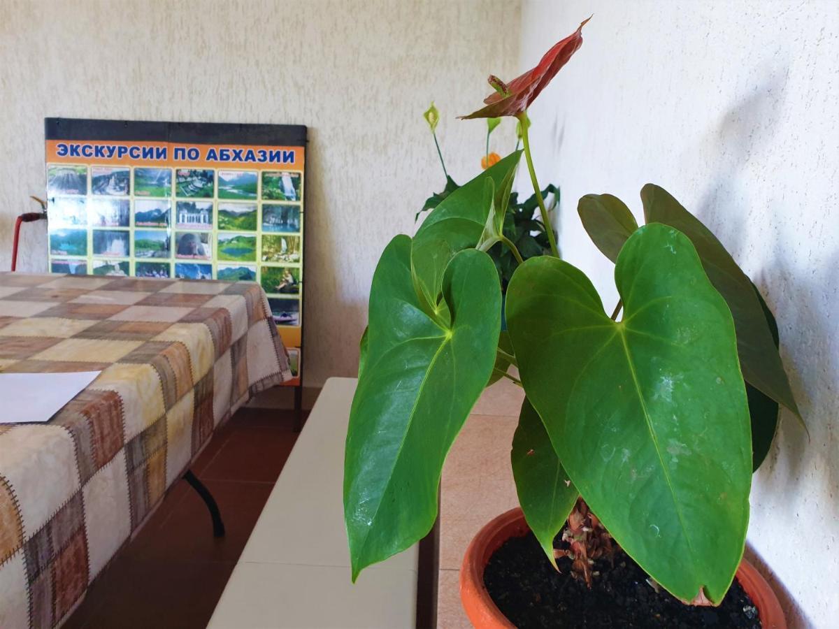 Guest House Lykhny Gagra Exteriér fotografie